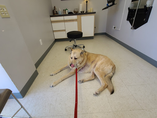 Family and Friends Veterinary Care image