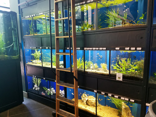 Tropical Fish Store «Picasso Exotic Aquatics», reviews and photos, 11560 Ash St, Leawood, KS 66211, USA