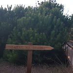 Photo n°13 de l'avis de Hanne.. fait le 10/09/2023 à 10:15 sur le  Desertas Beach and Sport à Costa Nova