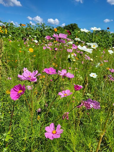 Tourist Attraction «Shawhaven Farm», reviews and photos, 1826 Rolfe Rd, Mason, MI 48854, USA