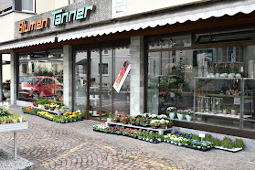 Blumen Tanner