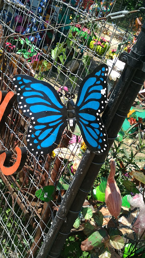 Florist «Blanco Floral & Gift Shop», reviews and photos, 207 Main St, Blanco, TX 78606, USA