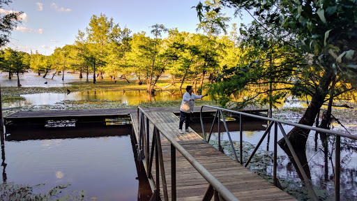 Park «Leake County Water Park», reviews and photos, 1190 Park Rd, Lena, MS 39094, USA