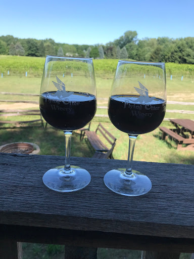 Winery «Flying Otter Winery», reviews and photos, 3402 Chase Rd, Adrian, MI 49221, USA