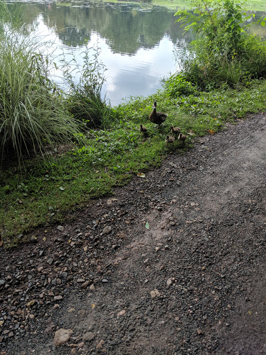 Golf Course «Flying Hills Golf Course», reviews and photos, 14 Village Center Dr, Reading, PA 19607, USA