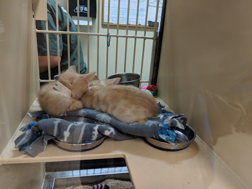 Pet Supply Store «Pet Food Express», reviews and photos, 320 S Lake Ave, Pasadena, CA 91101, USA