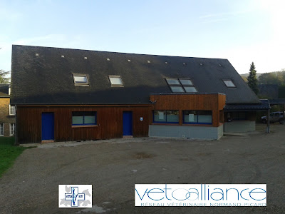 Cabinet Vétérinaire de Ry - SELARL NORMANVET (ex VETORY) à Ry