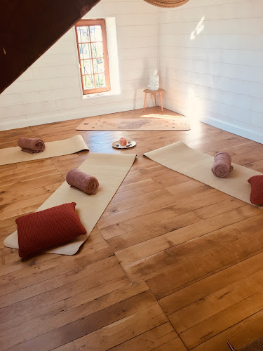 Cours de yoga Artymine Studio Saint-Denis-lès-Rebais