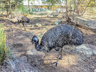 Free Range Emu Farm
