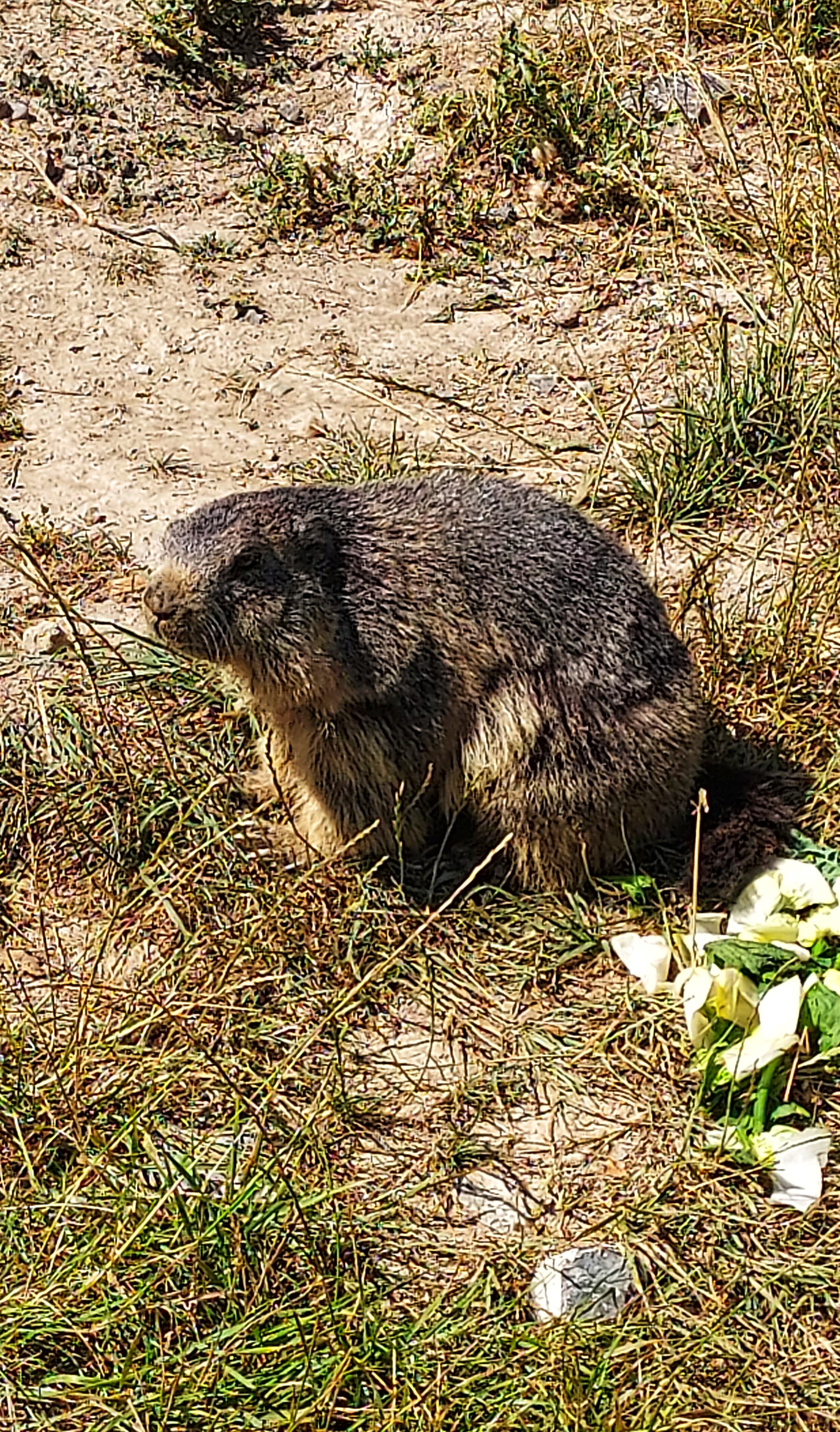 Photo n° 5 de l'avis de Isabelle.a fait le 21/07/2022 à 23:00