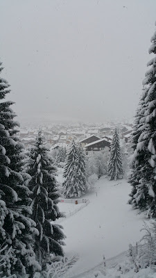 FIDUCIAL Expertise Morzine à Morzine
