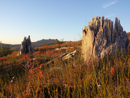 National Reserve «Mount St. Helens National Volcanic Monument», reviews and photos, 3029 Spirit Lake Hwy, Castle Rock, WA 98611, USA