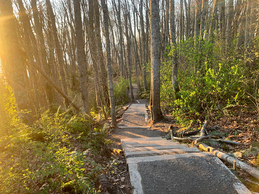 Loop Trail