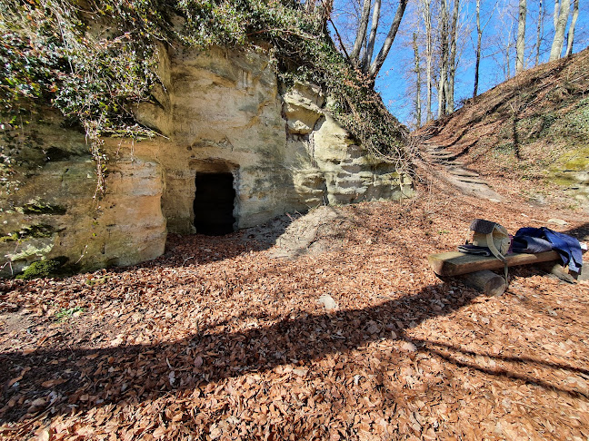 Burgruine Grünenberg - Museum