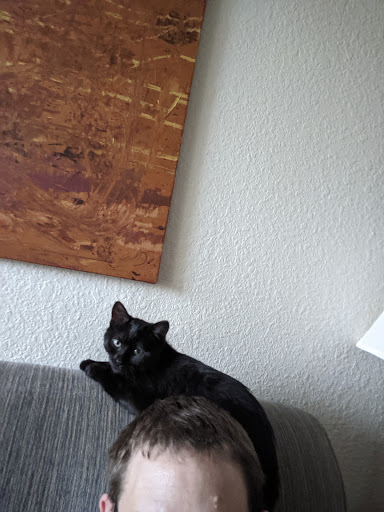 Non-Profit Organization «Heartland Humane Society», reviews and photos, 398 SW Twin Oaks Cir, Corvallis, OR 97333, USA