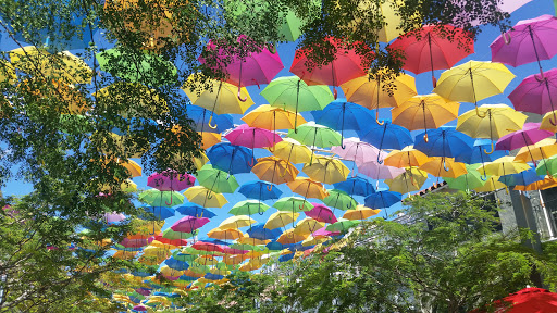 Shopping Mall «Miracle Mile and Downtown Coral Gables», reviews and photos, 220 Miracle Mile, Miami, FL 33134, USA