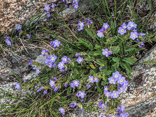 Movie Theater «AMC Loews Factoria 8», reviews and photos, 3505 Factoria Blvd SE, Bellevue, WA 98006, USA