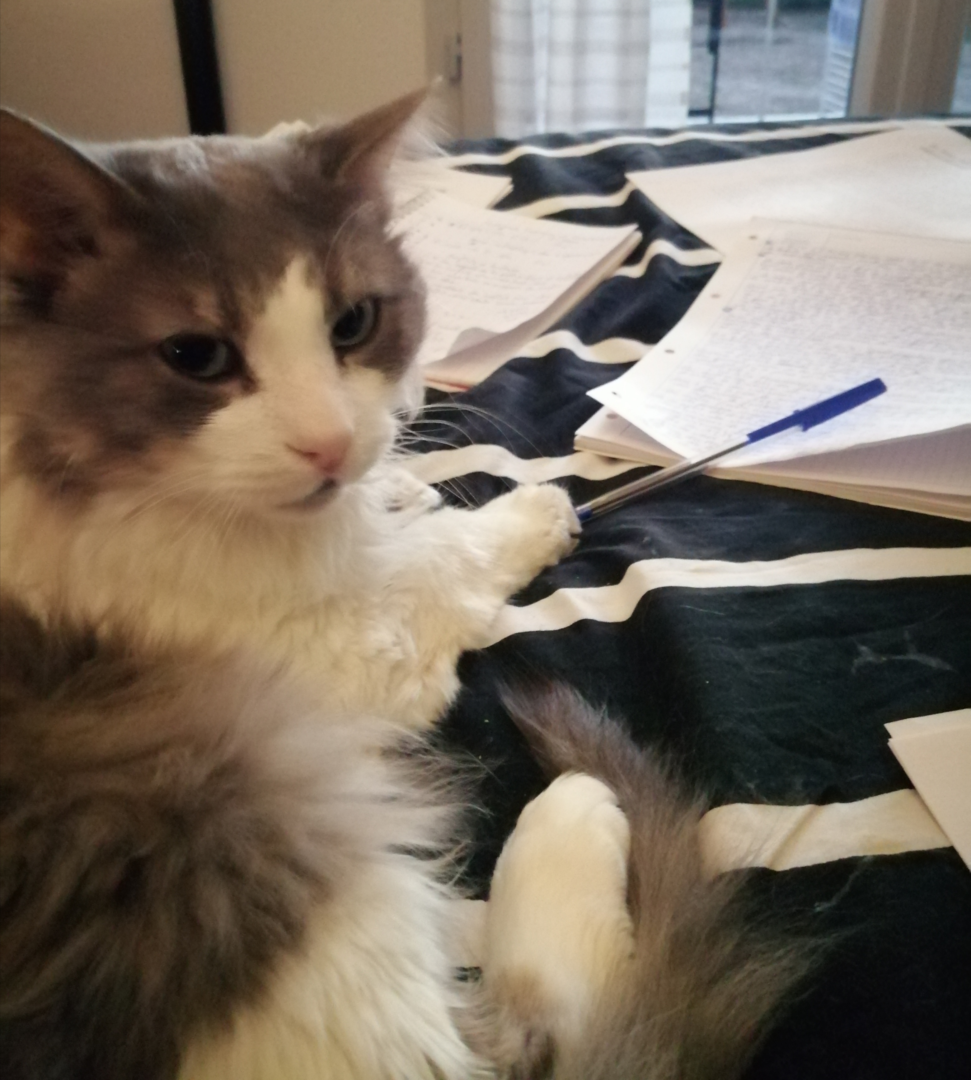 Photo n° 2 de l'avis de Serge.R fait le 28/11/2021 à 17:41
