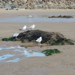 Photo n° 13 de l'avis de Emma.U fait le 18/08/2019 à 14:42 pour Belambra Clubs 