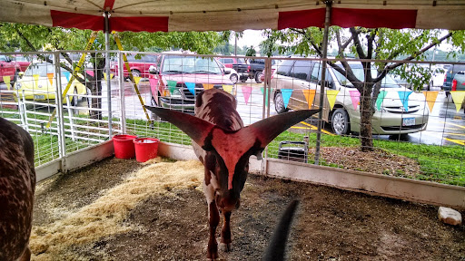 Zoo «Petting Zoo», reviews and photos, 1205 E 33rd St, Des Moines, IA 50317, USA