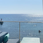 Photo n° 1 de l'avis de Muriel.h fait le 08/10/2023 à 12:36 pour Le Méditerranée à Bandol