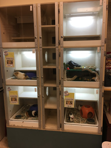 Pet Store «Pet City Pet Shops», reviews and photos, 750 Citadel Dr N # 2092, Colorado Springs, CO 80909, USA