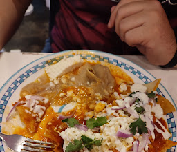 Pitahaya Redonda photo