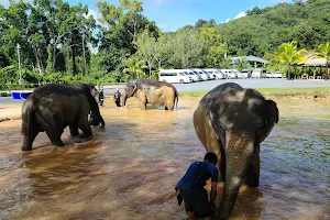 Green Elephant Sanctuary Park image