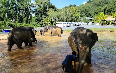 Green Elephant Sanctuary Park image