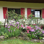 Photo n°3 de l'avis de Lois.u fait le 19/07/2020 à 15:56 sur le  The Moosbach Garden - Thomas Huber à Nordrach