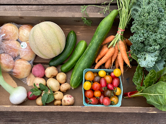 Little Acre Market Garden