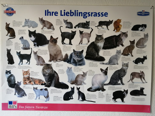 Ina Behnke unter Kirchlinteln, Niedersachsen
