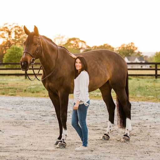 Campobello Equine Reproduction Services: Liliana Montoya, DVM image