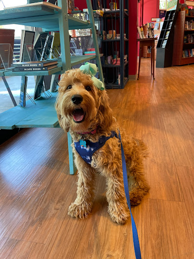 Book Store «Quail Ridge Books», reviews and photos, 4209-100 Lassiter Mill Rd, Raleigh, NC 27609, USA