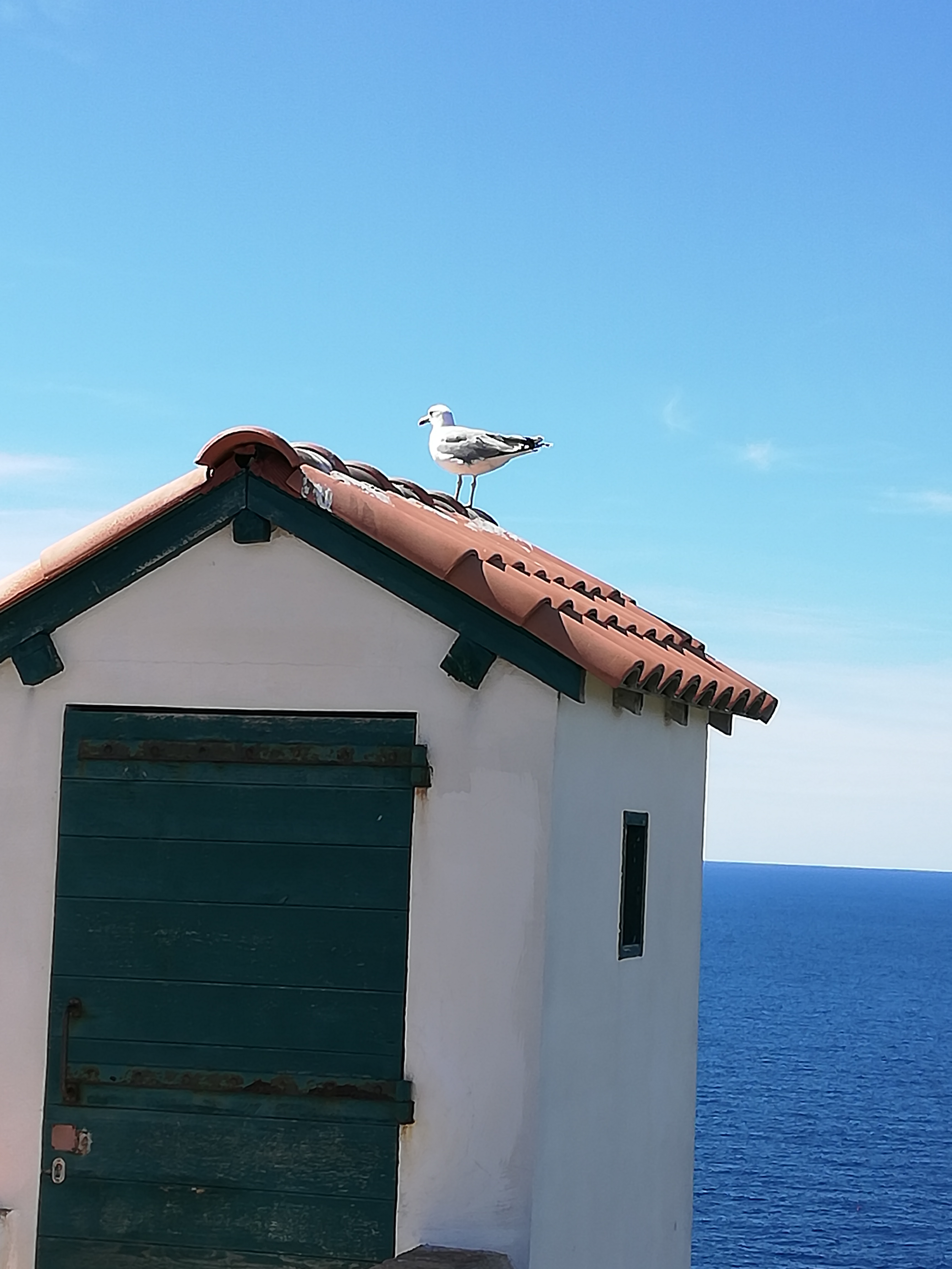 Photo n° 3 de l'avis de Véro.P fait le 20/05/2019 à 15:04