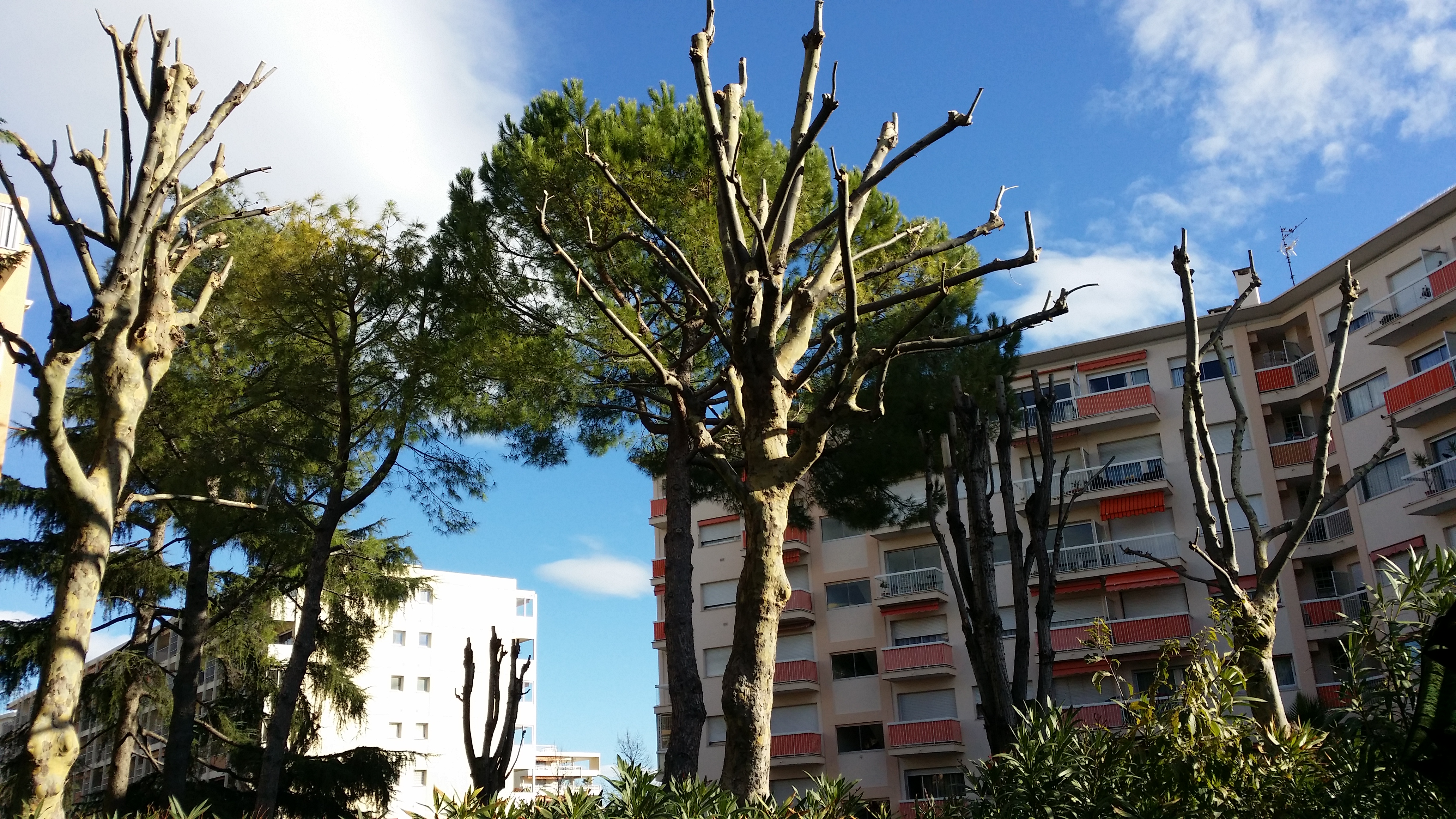 Photo n° 2 de l'avis de miranda.l fait le 14/12/2021 à 14:20