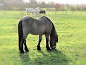 Ferme Equestre Le Petit Sault Montigny-sur-Avre