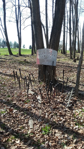 Golf Club «Deer Creek Golf Course», reviews and photos, 7143 IN-39, Clayton, IN 46118, USA