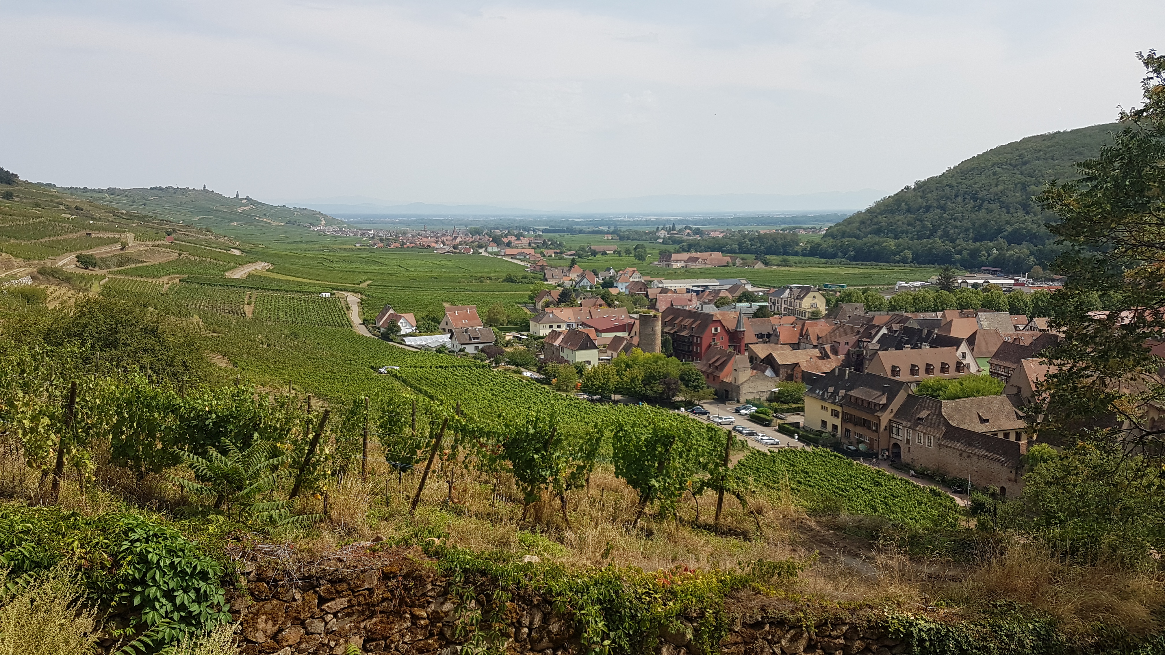 Photo n° 2 de l'avis de Vincent.a fait le 17/08/2022 à 12:57
