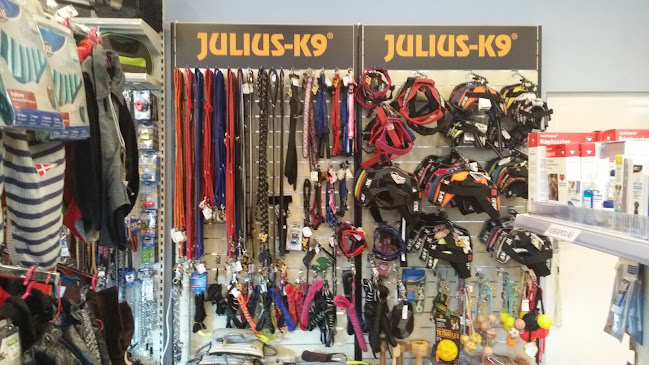 Szolnok, Mátyás király út 4, 5000