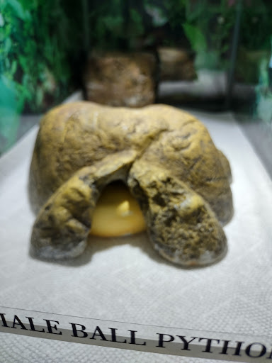 Pet Store «Fins Feathers Paws & Claws», reviews and photos, 436 Main St, Harleysville, PA 19438, USA