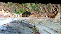 Photo de Shelly Reserve Beach zone sauvage