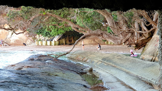 Shelly Reserve Beach