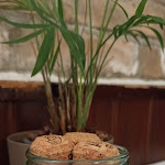 Photo n°8 de l'avis de Ellen.u fait le 20/03/2022 à 16:01 sur le  Ristorante Cencio à Montegrotto Terme