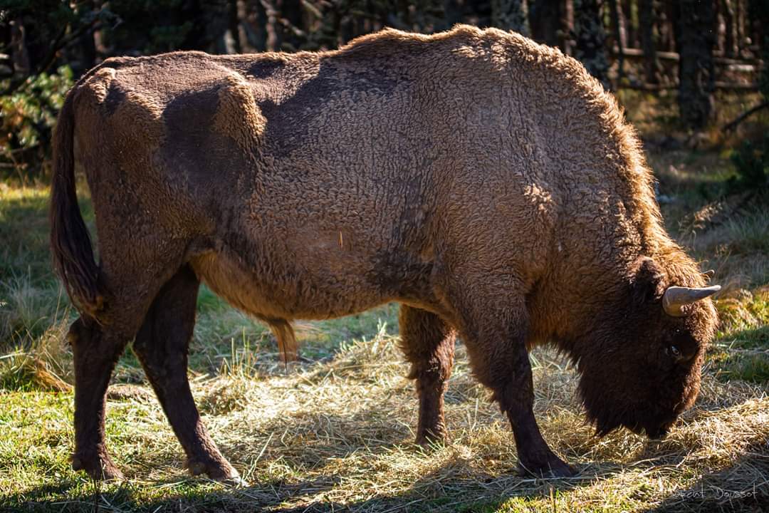 Photo n° 3 de l'avis de Laurent.o fait le 29/10/2019 à 10:33