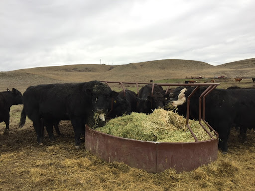 Farm Fresh Northwest