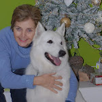 Photo n°1 de l'avis de maria.i fait le 08/03/2023 à 19:47 sur le  Hotel de la Poste à Cortina d'Ampezzo