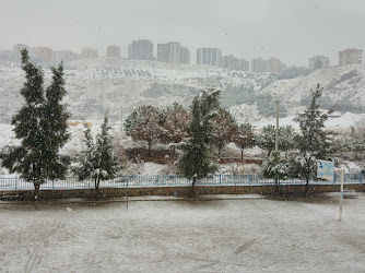 Tüpraş Mahmut Esat Bozkurt İlkokulu