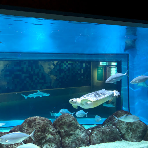 Aquarium «Toledo Zoo Aquarium», reviews and photos, 2700 Broadway St, Toledo, OH 43609, USA