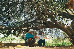 Parque Ecológico Olho D'água dos Currais image